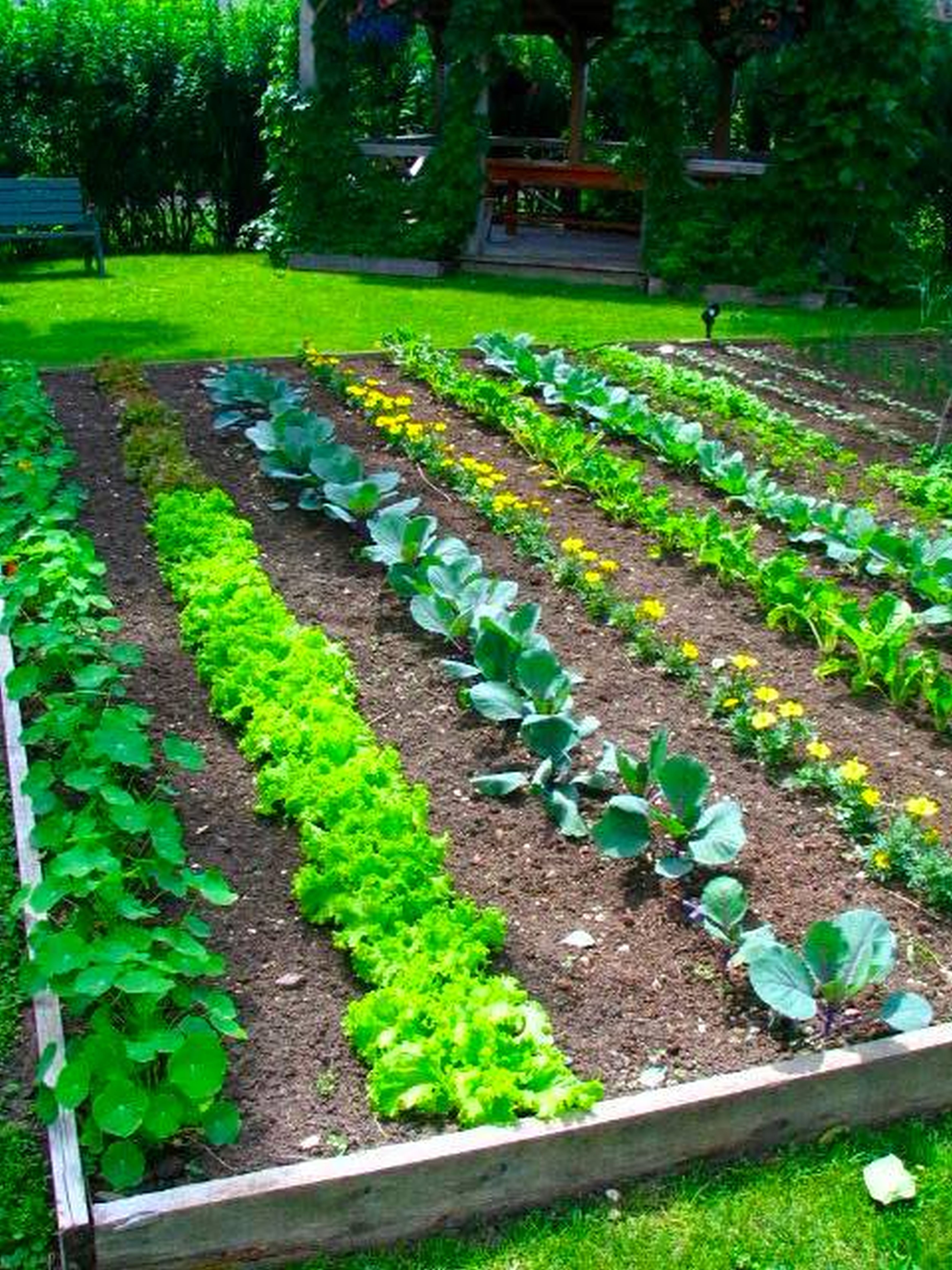 Best ideas about Backyard Vegetable Garden
. Save or Pin Raised Ve able Garden Ideas And Designs could also be Now.
