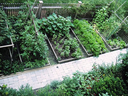 Best ideas about Backyard Vegetable Garden
. Save or Pin Perfect Backyard Ve able Garden Design Plans Ideas Now.