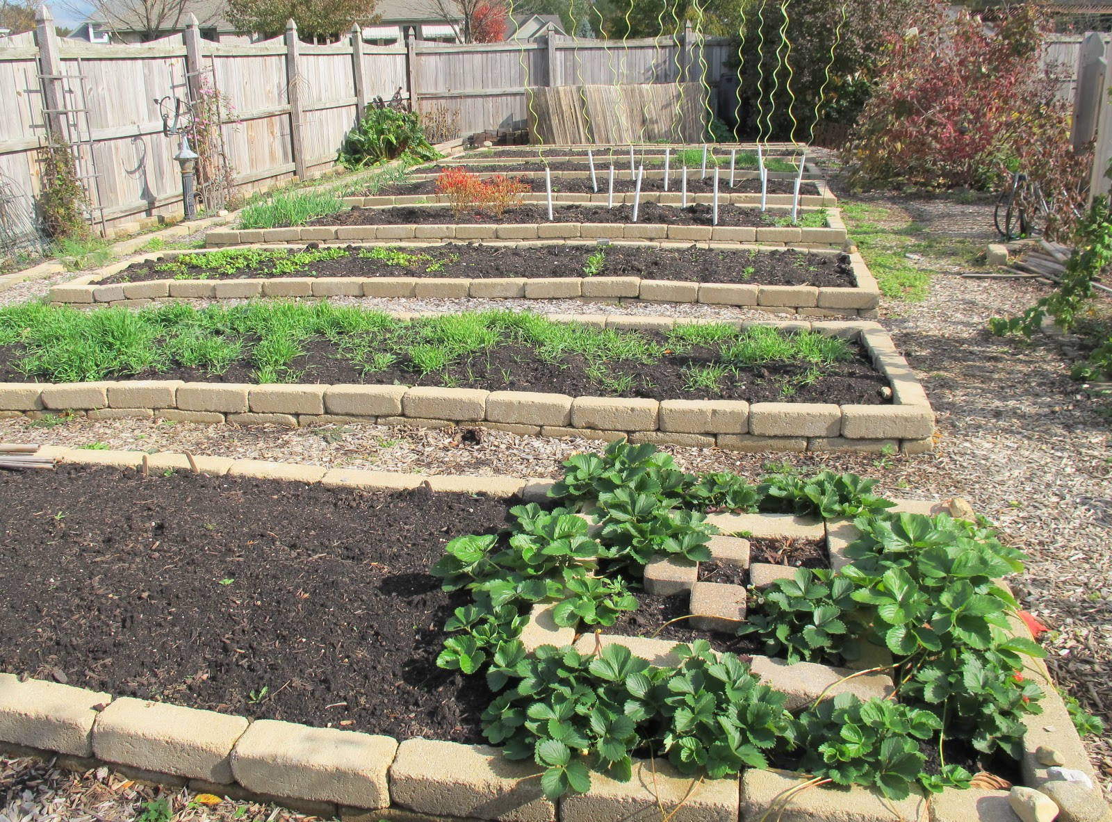 Best ideas about Backyard Vegetable Garden
. Save or Pin Ve able Garden Cathedral Update Now.