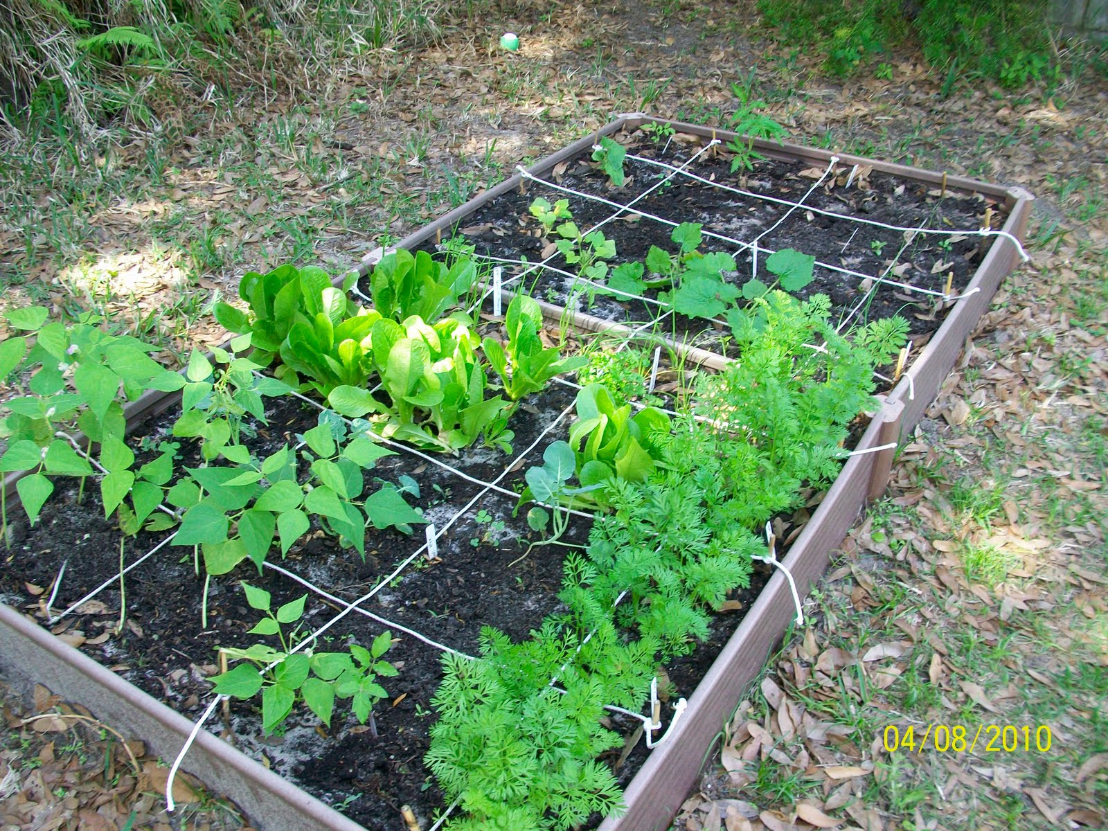 Best ideas about Backyard Vegetable Garden
. Save or Pin Deeny s Simple Joys My Backyard Ve able Garden Endeavor Now.