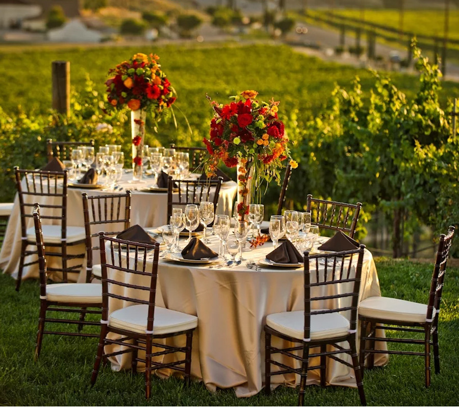 Best ideas about Backyard Wedding Rentals
. Save or Pin Party Rentals Event Rentals Wedding Rentals Now.