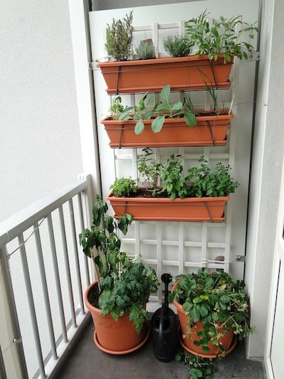 Best ideas about Balcony Hanging Planter
. Save or Pin A ve able garden on a small balcony hanging planters Now.