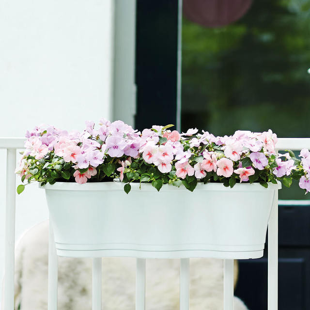 Best ideas about Balcony Hanging Planter
. Save or Pin Buy Triple Hanging Balcony Planter — The Worm that Turned Now.