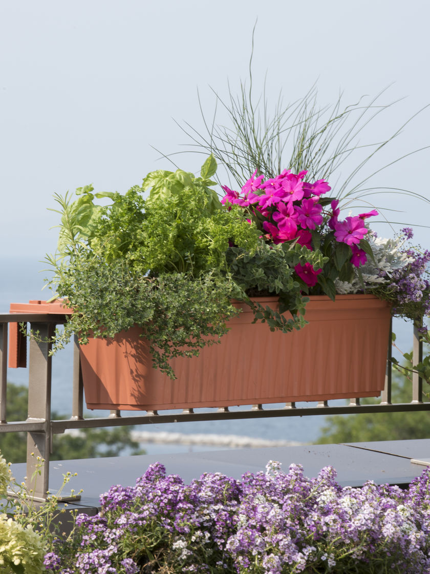 Best ideas about Balcony Railing Planter
. Save or Pin Railing Planters 32" Ac modate 1" to 4 25" Thick Deck Now.