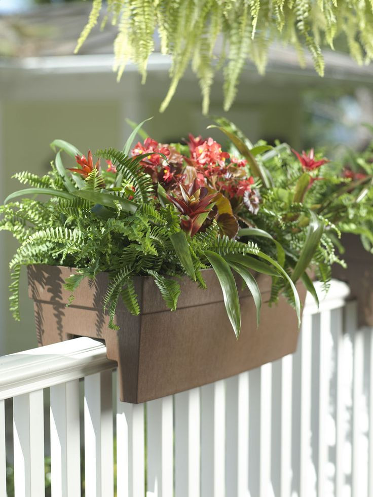 Best ideas about Balcony Railing Planter
. Save or Pin 25 best ideas about Deck railing planters on Pinterest Now.