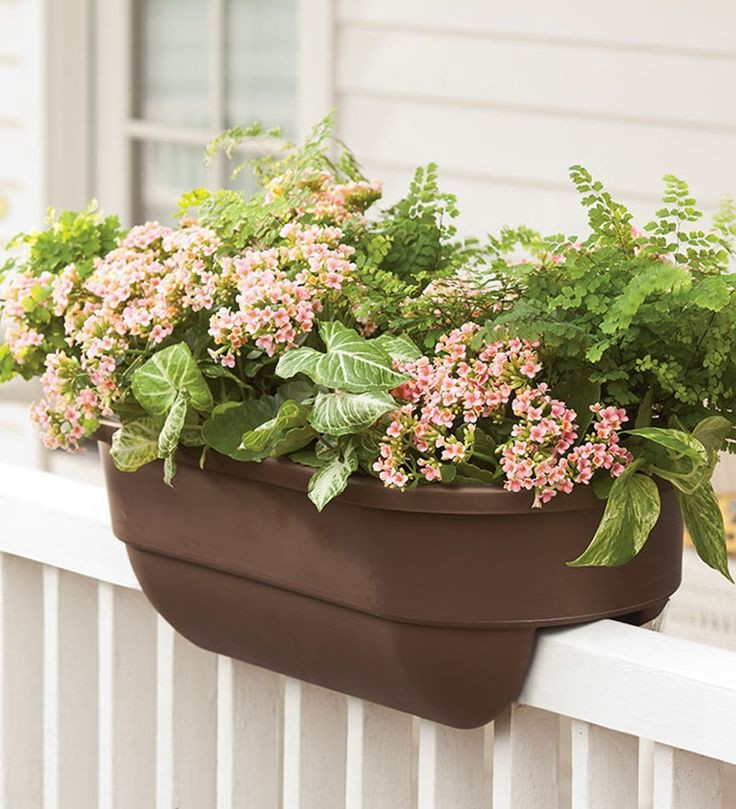 Best ideas about Balcony Railing Planter
. Save or Pin 25 Best Ideas about Railing Planters on Pinterest Now.