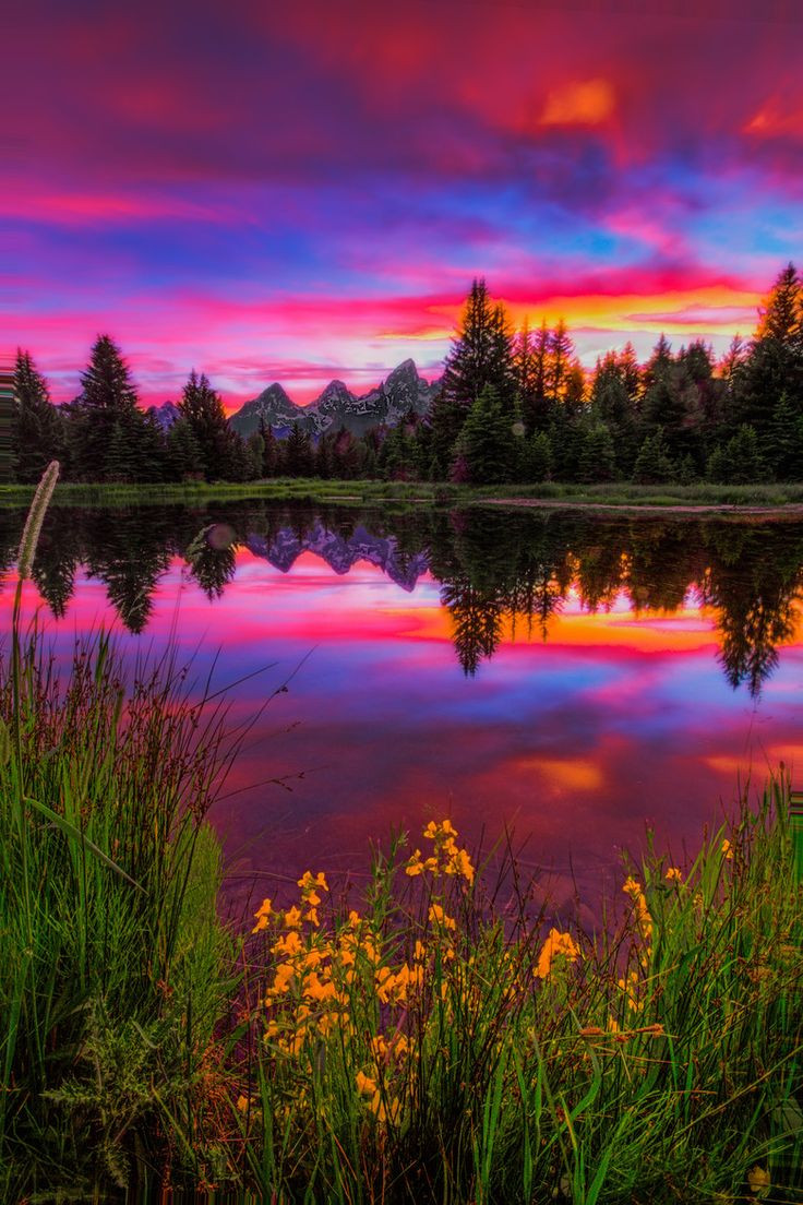 Best ideas about Beautiful Landscape Pictures
. Save or Pin Beautiful Landscape photography Jackson Hole WY Beaver Now.