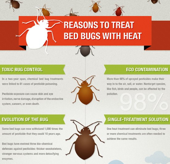 Best ideas about Bed Bug Heat Treatment DIY
. Save or Pin Bed Bugs Heat Treatment in Calgary You Kill Bed Bugs Now.
