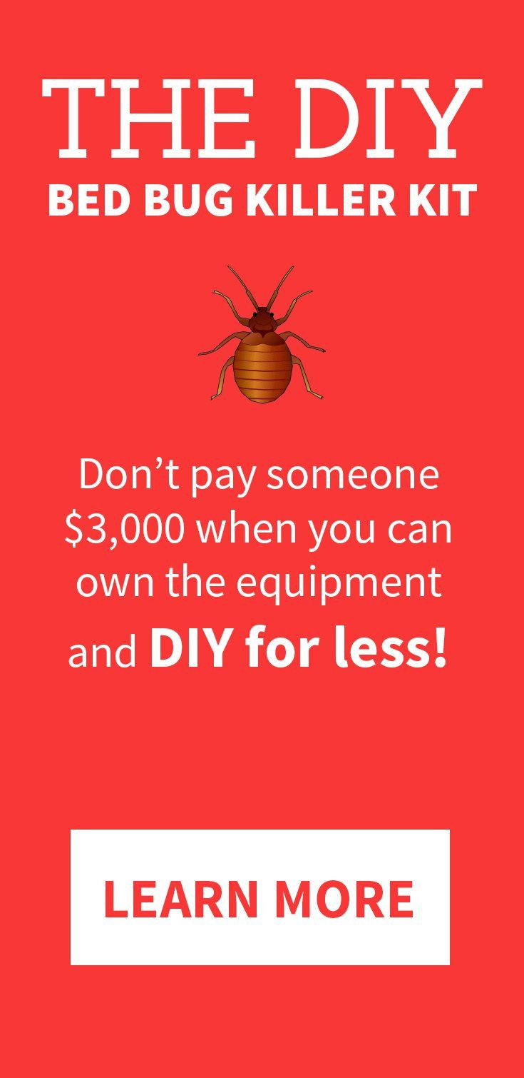 Best ideas about Bed Bug Heat Treatment DIY
. Save or Pin Details about PestPro 100 Bed Bug Package Heat Treatment Now.