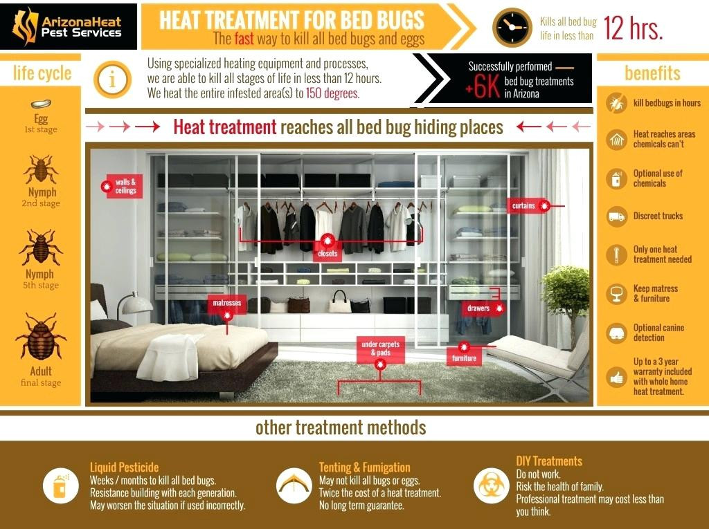 Best ideas about Bed Bug Heat Treatment DIY
. Save or Pin Does Heat Kill Bed Bugs Related Post Will High Heat Dryer Now.