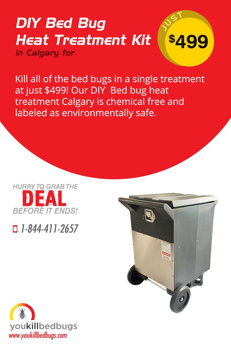 Best ideas about Bed Bug Heat Treatment DIY
. Save or Pin 25 unique Bed bugs ideas on Pinterest Now.
