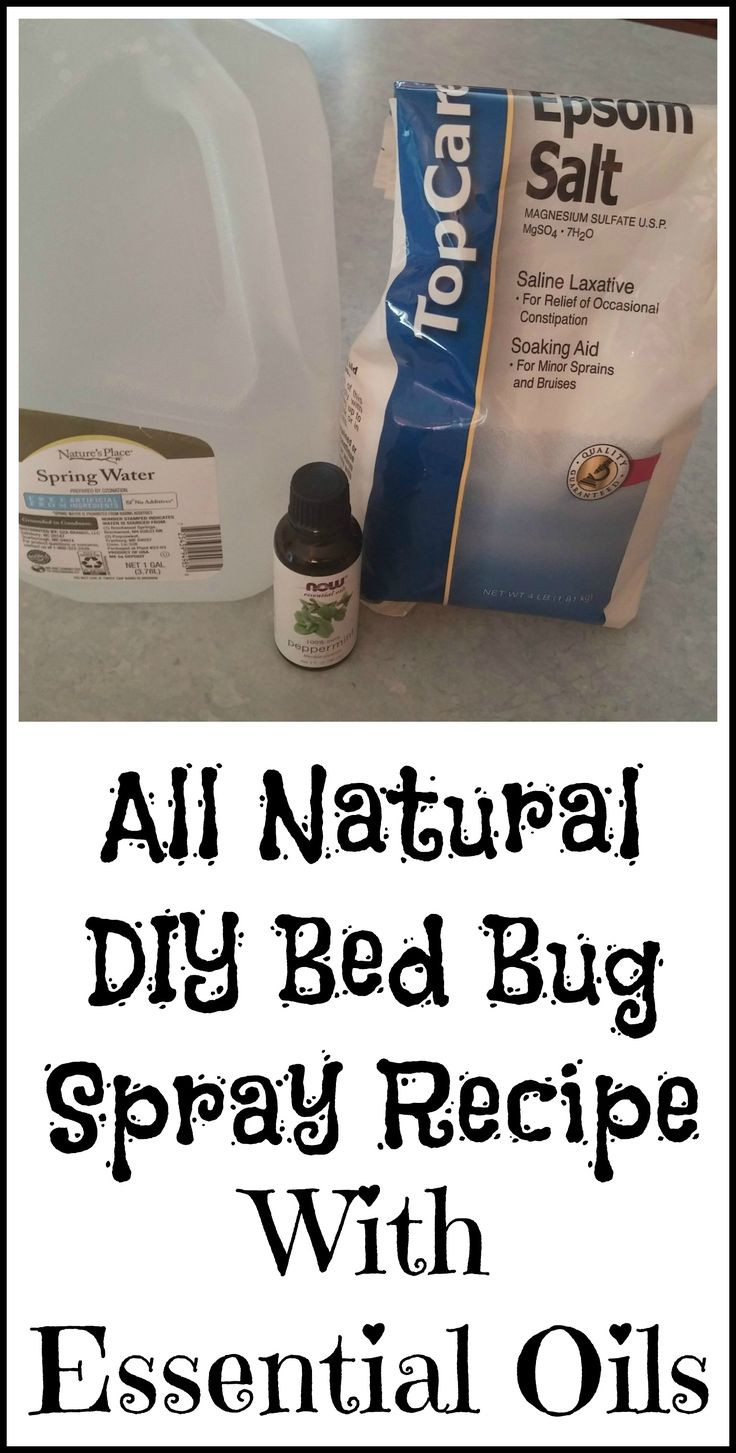 Best ideas about Bed Bug Repellent DIY
. Save or Pin Best 25 Bed bugs ideas on Pinterest Now.