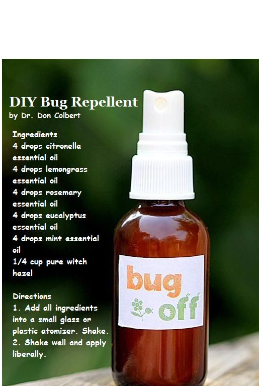 Best ideas about Bed Bug Repellent DIY
. Save or Pin Pinterest • The world’s catalog of ideas Now.