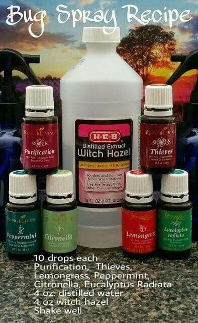 Best ideas about Bed Bug Repellent DIY
. Save or Pin 25 best ideas about Bed Bugs on Pinterest Now.