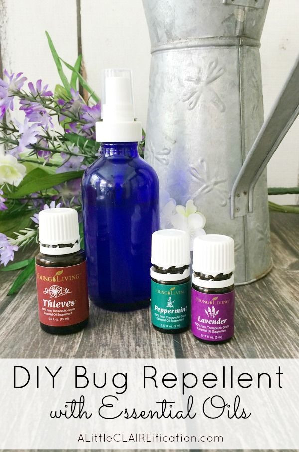 Best ideas about Bed Bug Repellent DIY
. Save or Pin How To Make Your Own Bug Spray this DIY Insect Repellent Now.