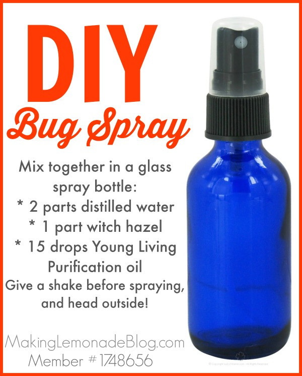 Best ideas about Bed Bug Repellent DIY
. Save or Pin Homemade Outdoor & Camping Spray Bugs HATE It  Now.