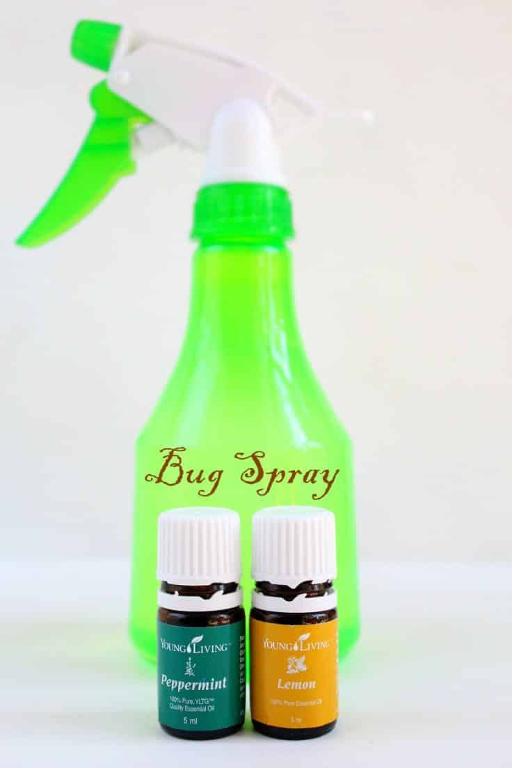 Best ideas about Bed Bug Repellent DIY
. Save or Pin Homemade Bug Spray with natural ingre nts Now.