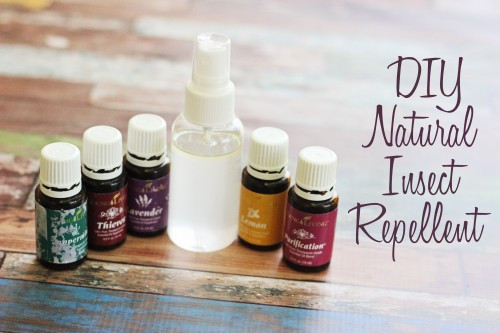 Best ideas about Bed Bug Repellent DIY
. Save or Pin Homemade Natural Bug Repellent Recipes Going EverGreen Now.