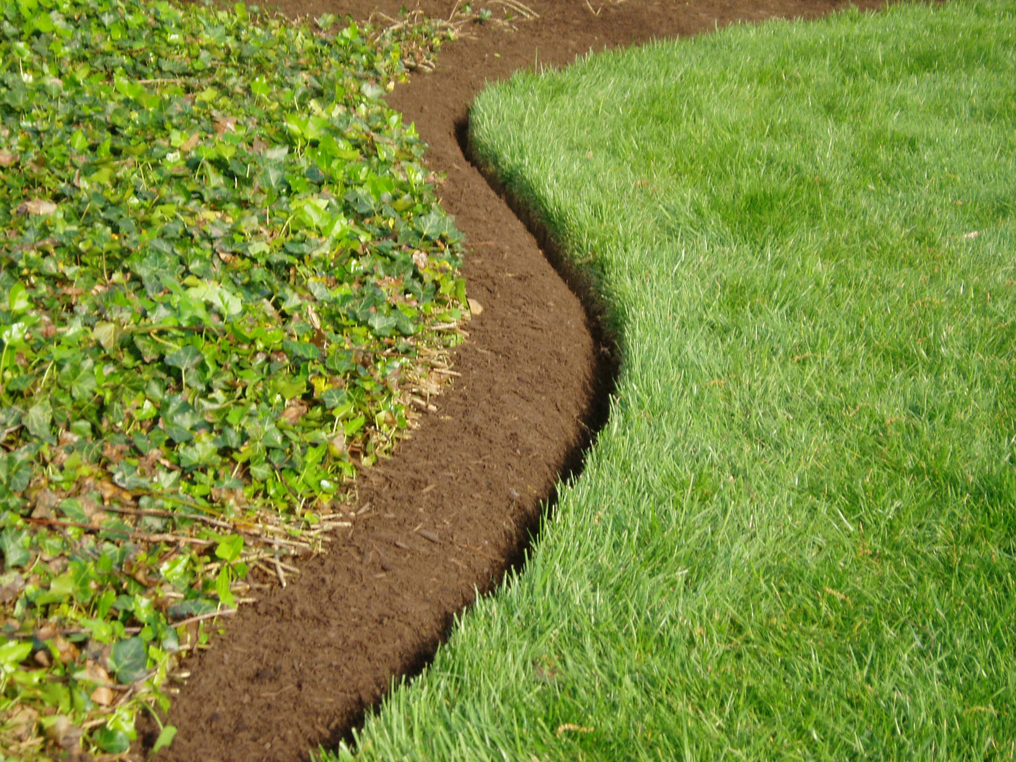 Best ideas about Best Landscape Edging
. Save or Pin The Best Landscape Edging to Install Around Your Flower Now.