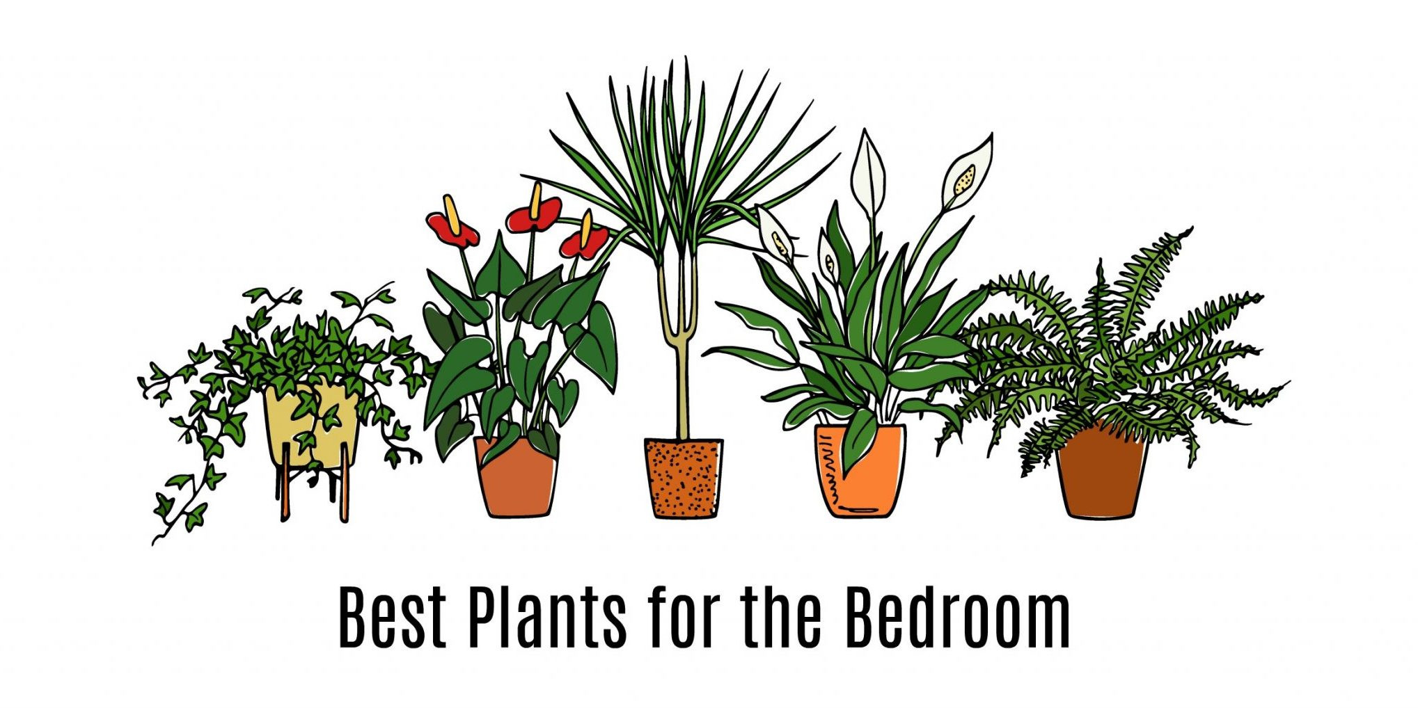 Best ideas about Best Plants For Bedroom
. Save or Pin Best Bedroom Plants for Better Sleep Get Green Be Well Now.