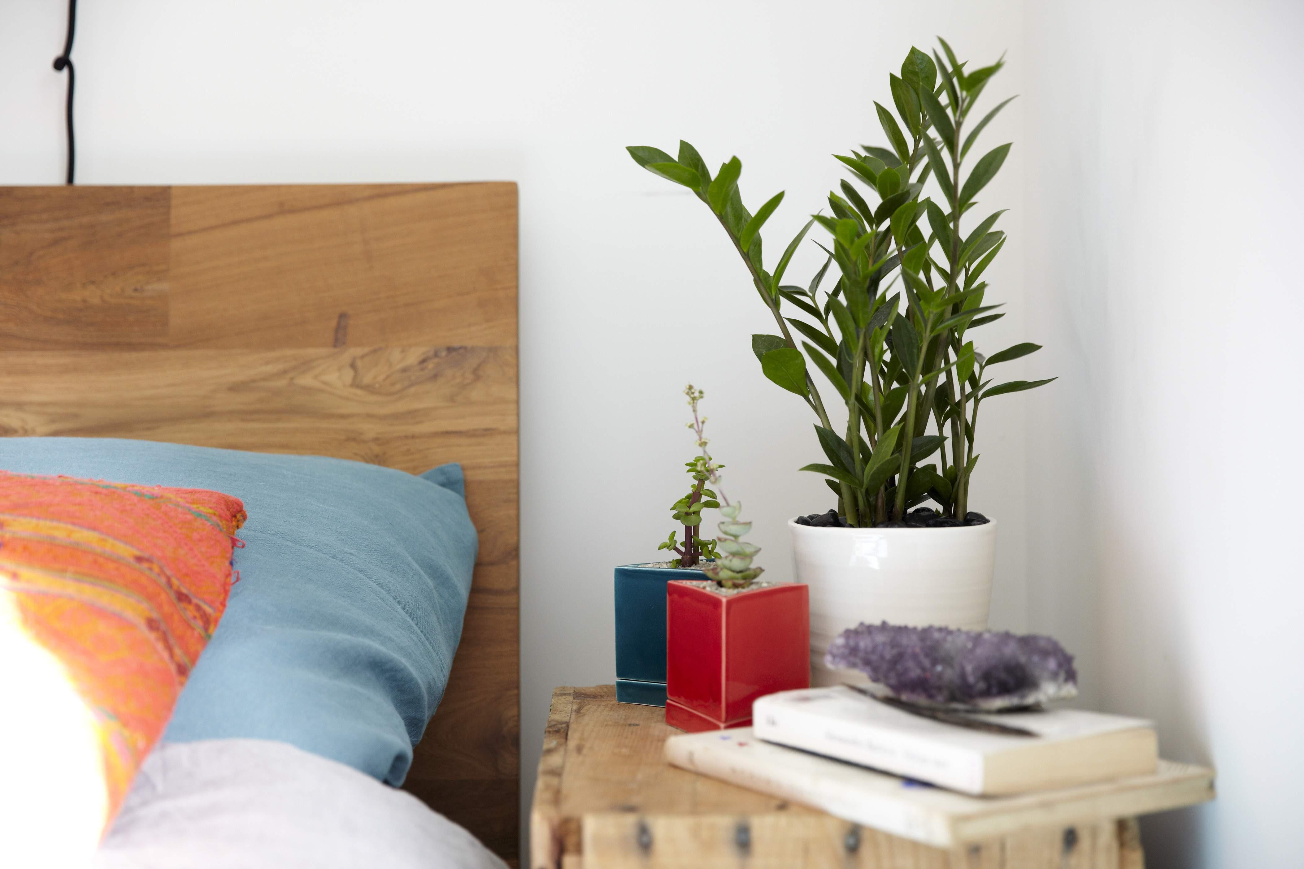 Best ideas about Best Plants For Bedroom
. Save or Pin Should You Keep Plants in Your Bedroom Casper Blog Now.