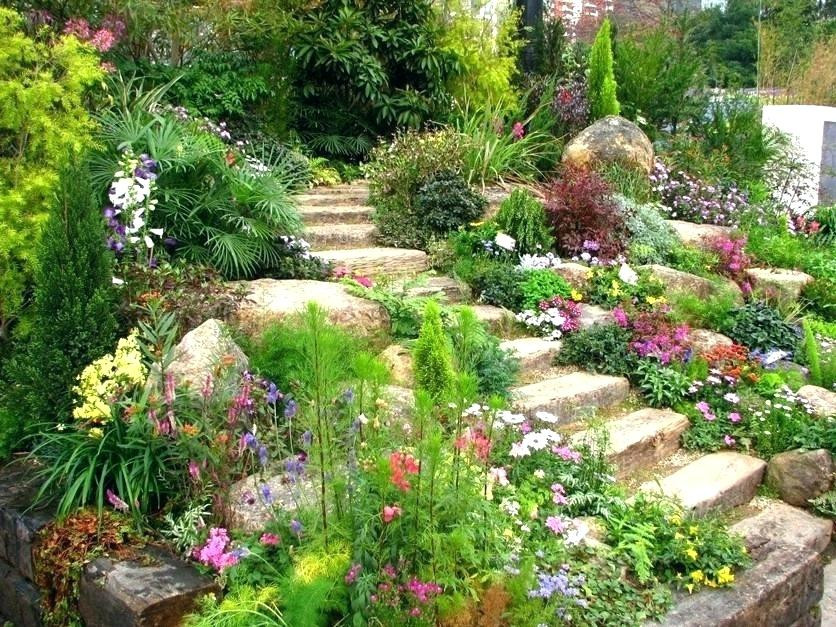 Best ideas about Better Homes And Garden Landscape Design Software
. Save or Pin Better Homes And Garden Landscape Design Software Heavenly Now.