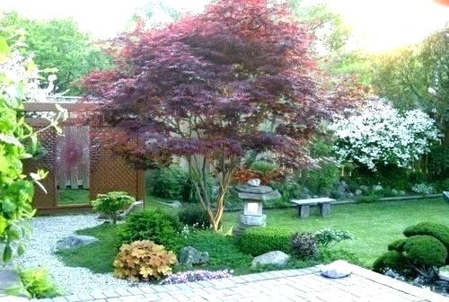 Best ideas about Better Homes And Garden Landscape Design Software
. Save or Pin Better Homes And Garden Landscape Design Software Heavenly Now.