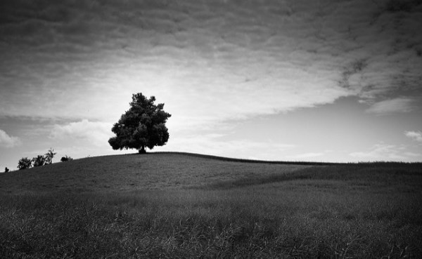 Best ideas about Black And White Landscape
. Save or Pin 27 Black and White Landscape Now.