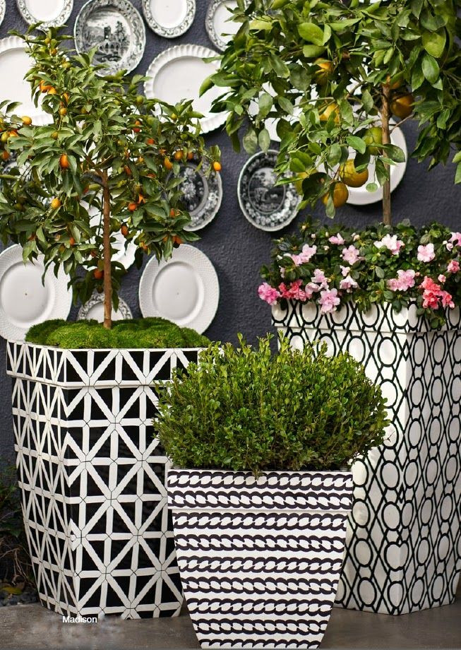 Best ideas about Black Outdoor Planters
. Save or Pin 25 best ideas about White planters on Pinterest Now.