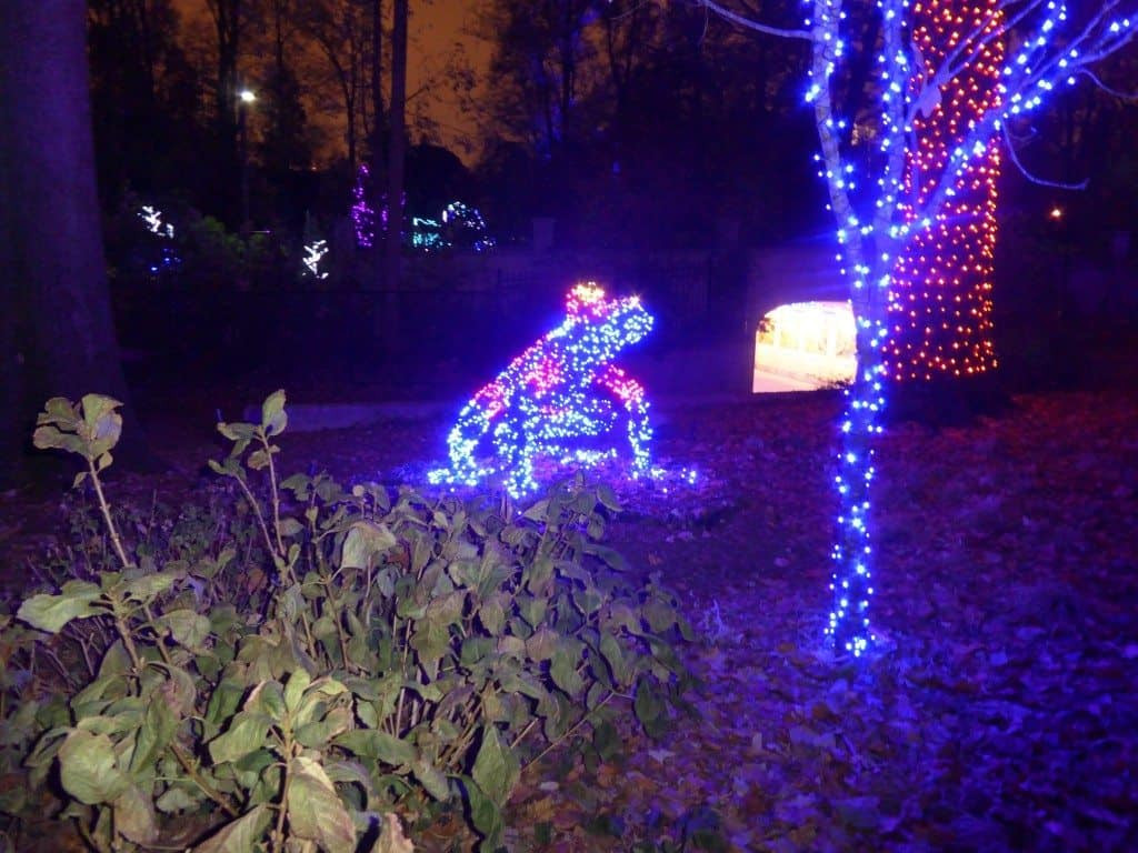 Best ideas about Botanical Garden Lights
. Save or Pin Atlanta Botanical Garden Holiday Lights Now.