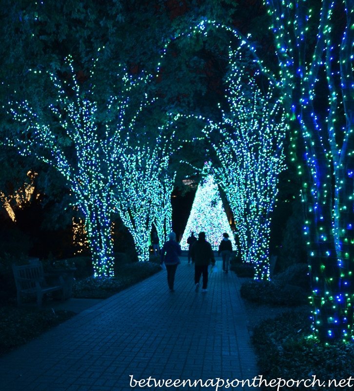 Best ideas about Botanical Garden Lights
. Save or Pin Atlanta Botanical Gardens Christmas Garden Lights Now.