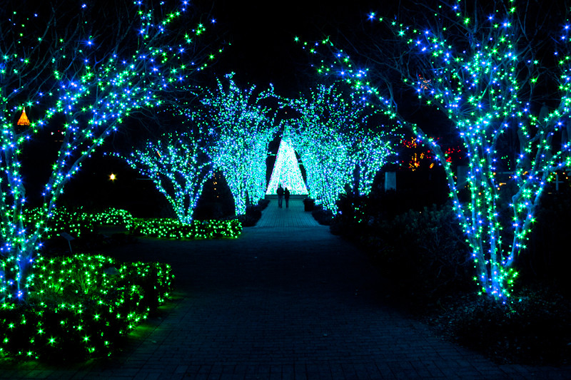 Best ideas about Botanical Garden Lights
. Save or Pin Dodge & Burn Garden Lights at the Atlanta Botanical Now.