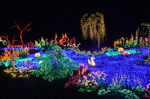 Best ideas about Botanical Garden Lights
. Save or Pin Fun Eastside Holiday Events for Seattle Kids Now.