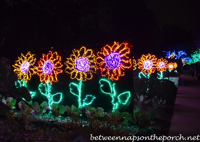 Best ideas about Botanical Garden Lights
. Save or Pin Atlanta Botanical Gardens Christmas Garden Lights Now.