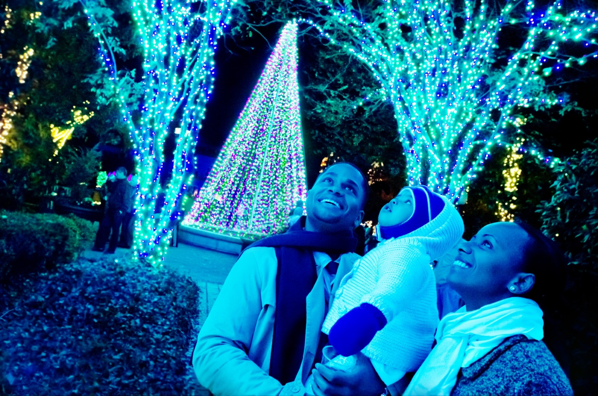 Best ideas about Botanical Garden Lights
. Save or Pin Atlanta Botanical Garden Shines “Green” this Winter with Now.