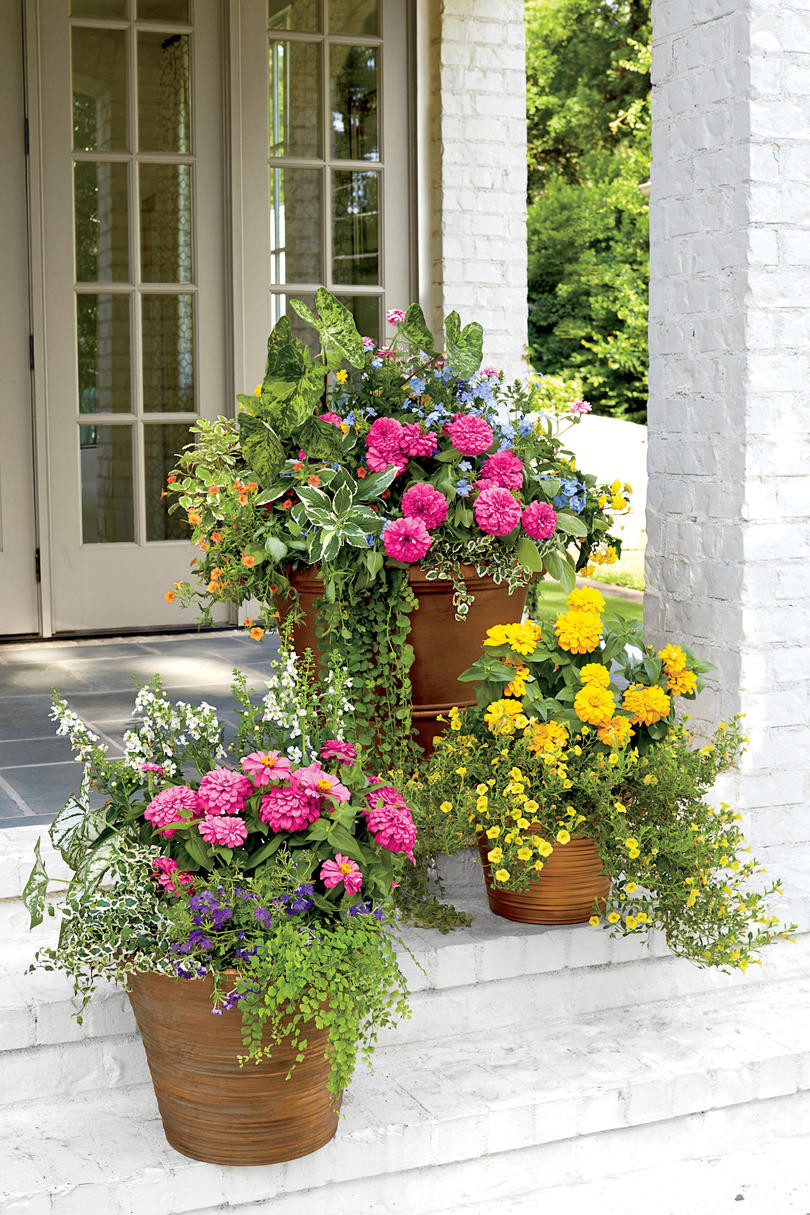 Best ideas about Box Garden Ideas
. Save or Pin 120 Container Gardening Ideas Southern Living Now.