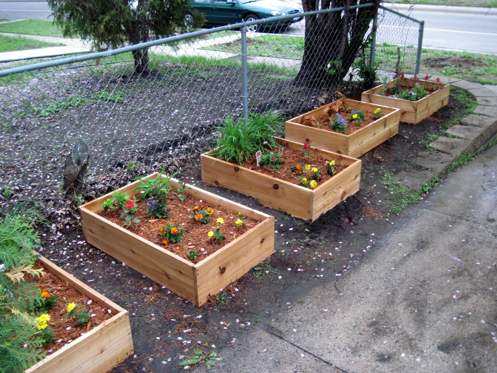 Best ideas about Box Garden Ideas
. Save or Pin Simple And Easy Small DIY Wood Planter Box Using Cedar For Now.