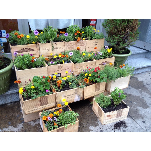 Best ideas about Box Garden Ideas
. Save or Pin Wine box garden I love the tiered effect Now.