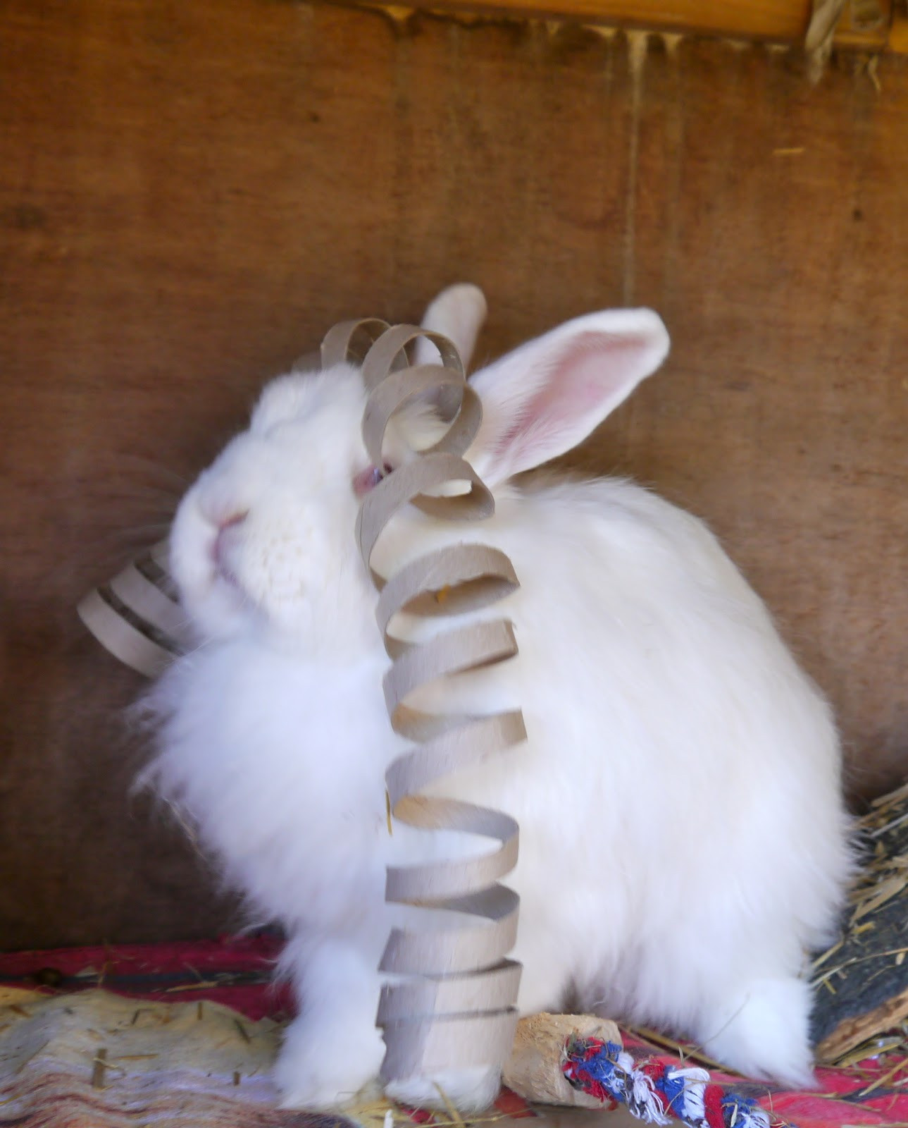 Best ideas about Bunny Toys DIY
. Save or Pin sukilii blog home made bunny toys Now.