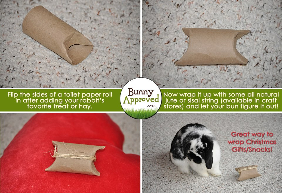 Best ideas about Bunny Toys DIY
. Save or Pin DIY Rabbit Toy Ideas Bunny Approved House Rabbit Toys Now.