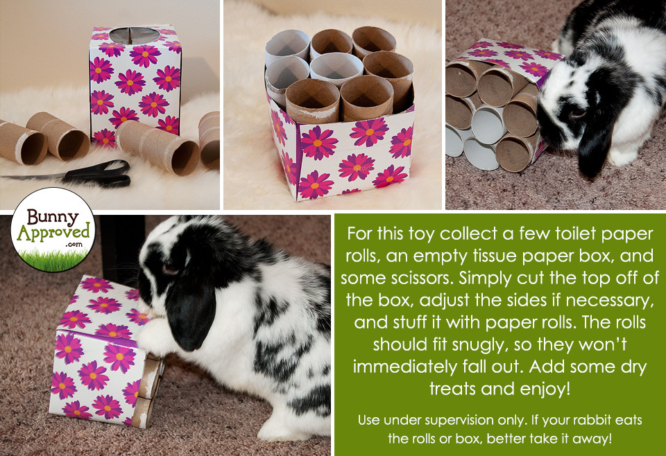 Best ideas about Bunny Toys DIY
. Save or Pin DIY Rabbit Toy Ideas Bunny Approved House Rabbit Toys Now.