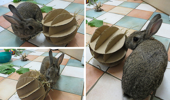Best ideas about Bunny Toys DIY
. Save or Pin DIY Rabbit Toys – Slotted Cardboard Ball Now.