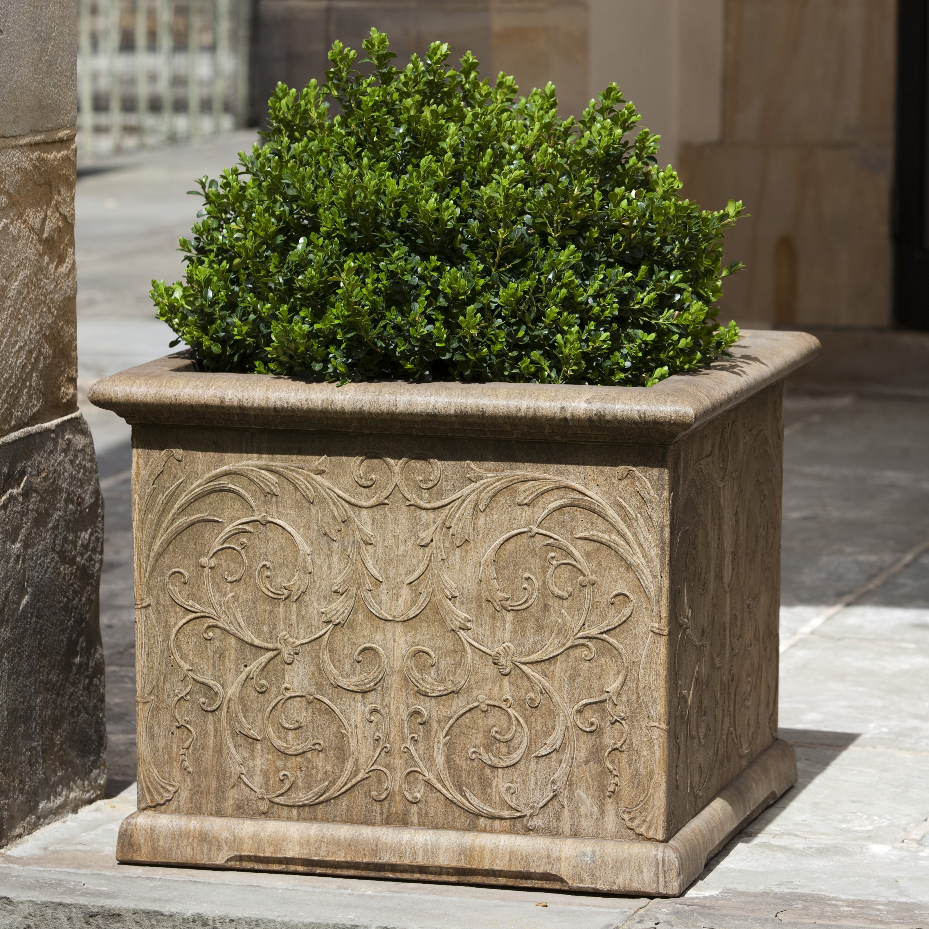 Best ideas about Cast Stone Planters
. Save or Pin Campania International Arabesque Square Cast Stone Planter Now.