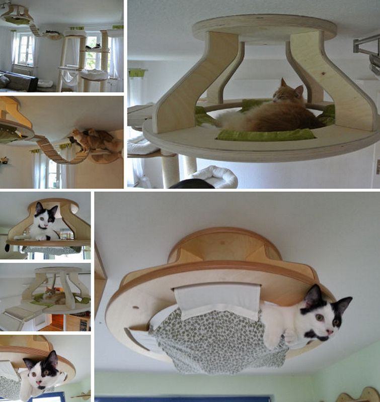 Best ideas about Cat Beds DIY
. Save or Pin How to Make a Cat Bed Modern Magazin Art design DIY Now.