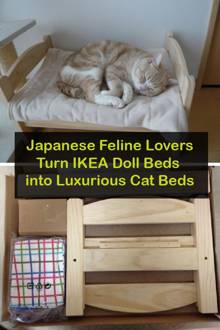 Best ideas about Cat Beds DIY
. Save or Pin Japanese Cat Lovers Buy Adorable DIY IKEA Cat Beds Now.