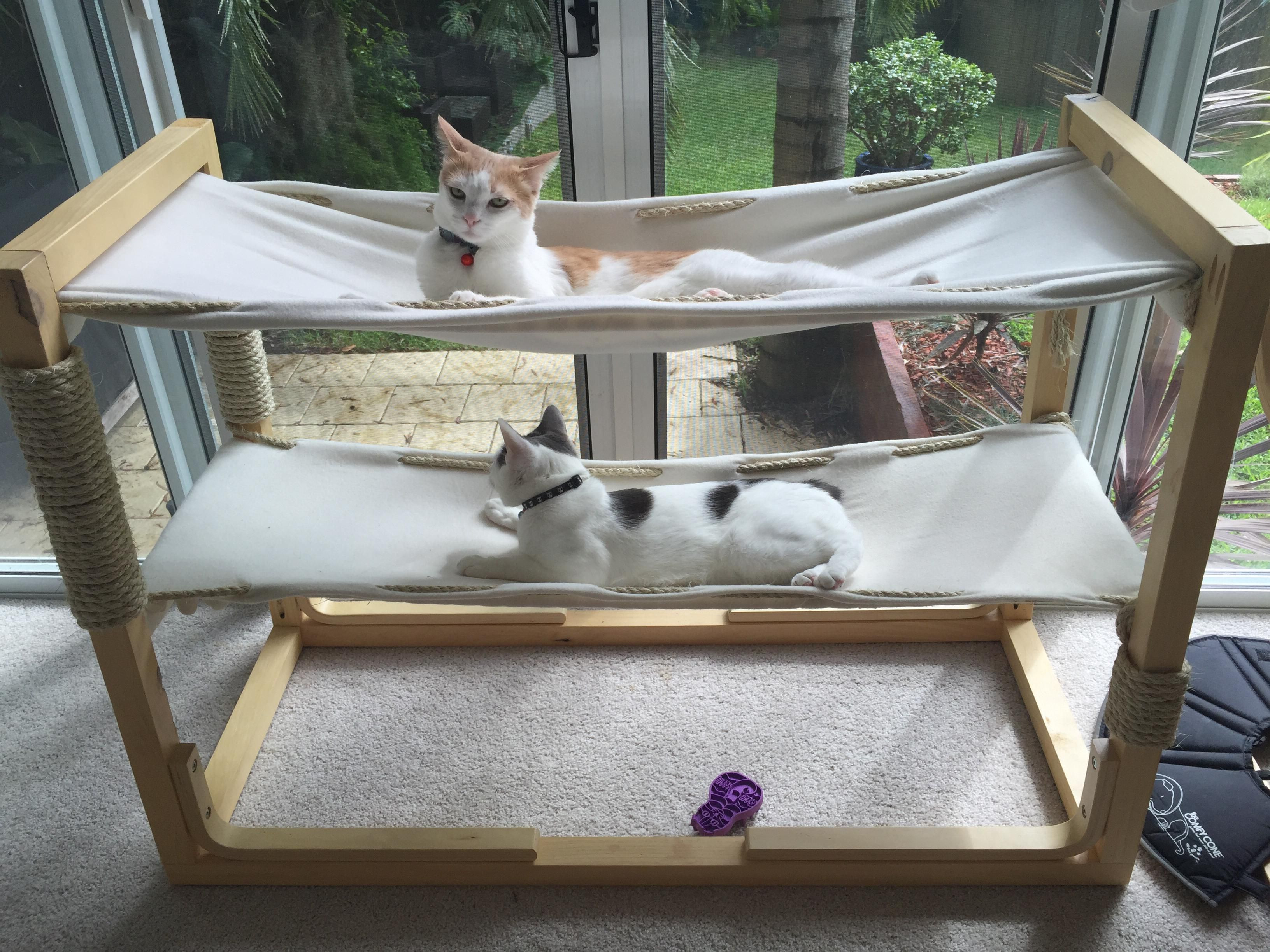 Best ideas about Cat Beds DIY
. Save or Pin Build Bunk Bed Hammocks for Your Cats Now.