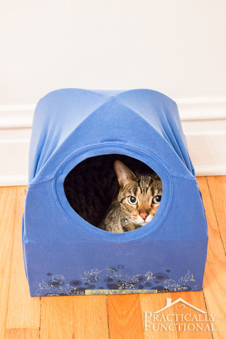 Best ideas about Cat Beds DIY
. Save or Pin DIY Cat Tent Bed Now.