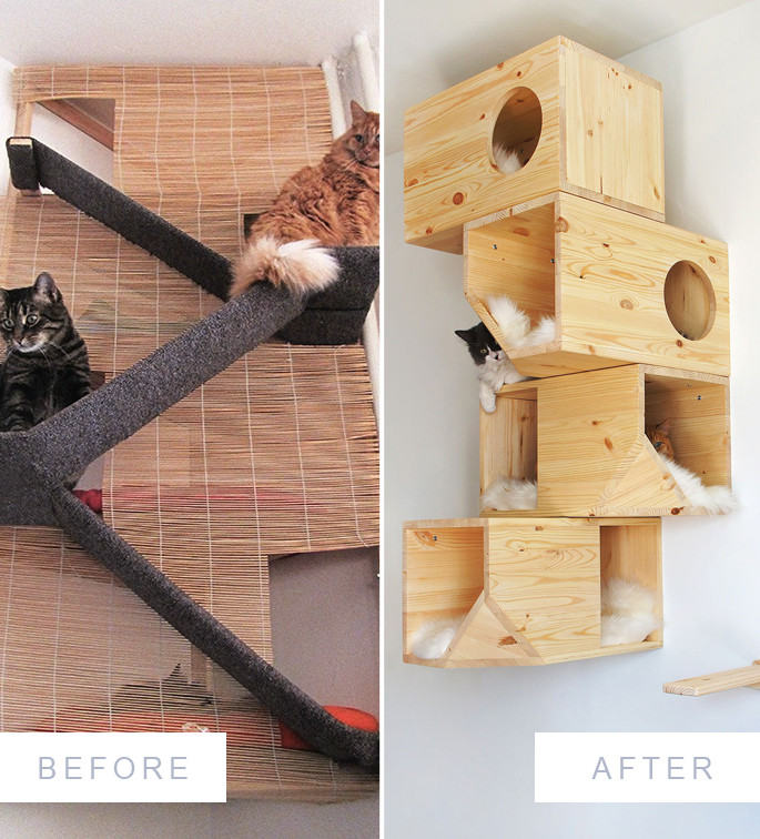 Best ideas about Cat Beds DIY
. Save or Pin The Evolution of a Homemade Cat Tower Now.