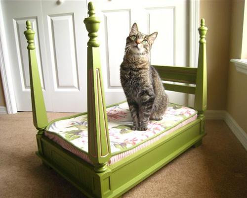 Best ideas about Cat Beds DIY
. Save or Pin 25 DIY Pet Bed Ideas Now.