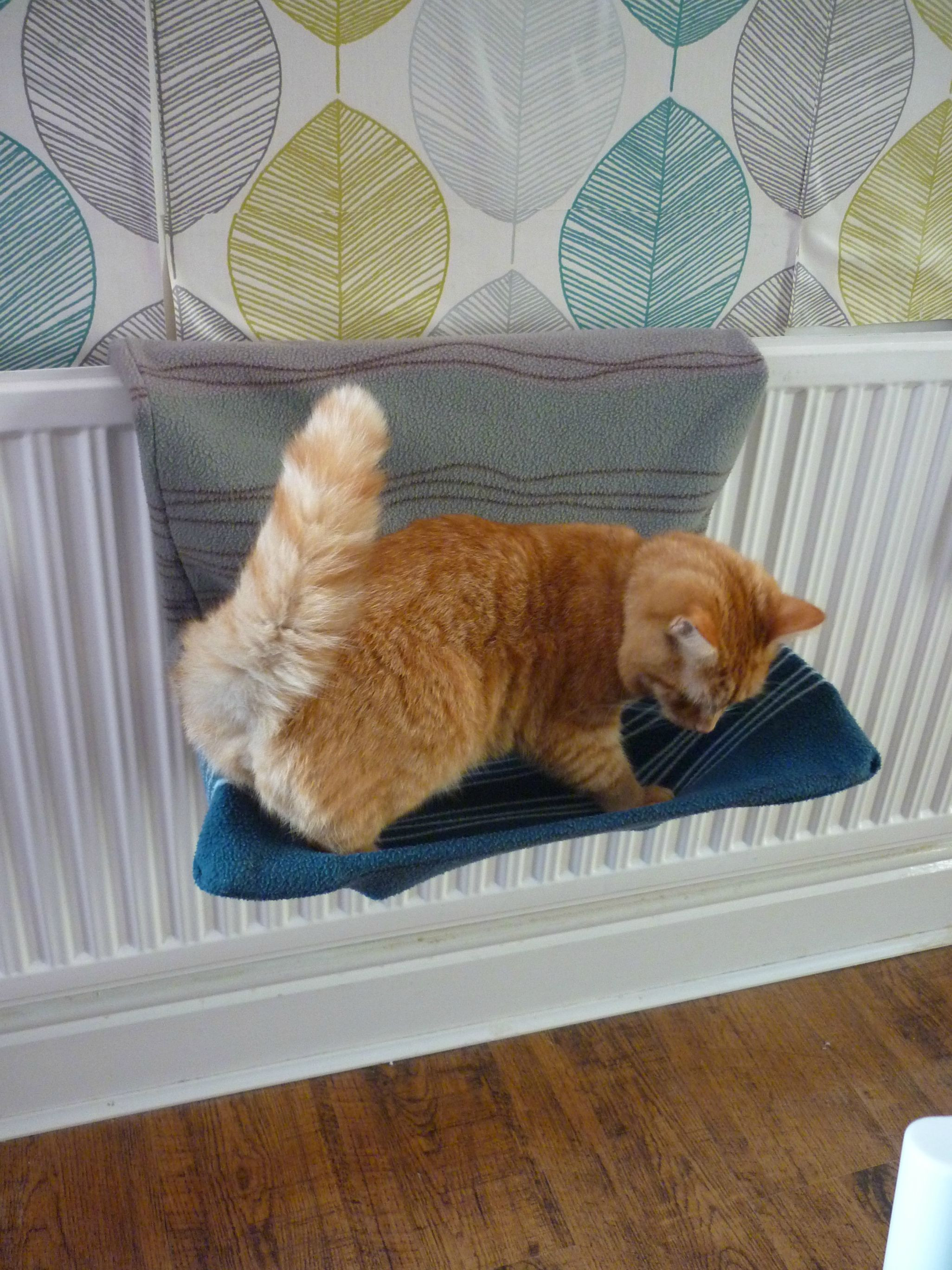 Best ideas about Cat Beds DIY
. Save or Pin DIY Radiator Cat Bed Cover Now.